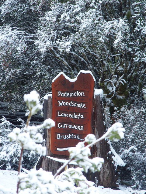 Cradle Highlander - Accommodation BNB 7