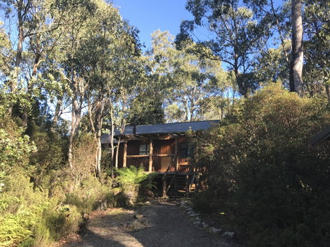 Cradle Highlander - Accommodation BNB 14