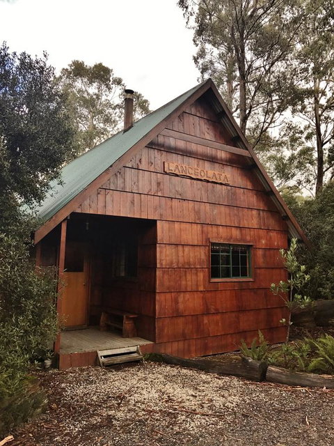 Cradle Highlander - Accommodation BNB 3