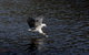 Arthur Riverfront And Sea Lodge Downstream - thumb 38
