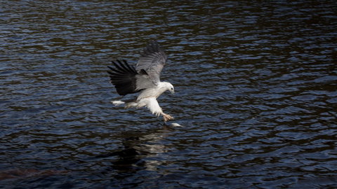 Arthur Riverfront And Sea Lodge Downstream - Accommodation BNB 38