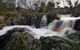 Arthur Riverfront And Sea Lodge Downstream - thumb 36