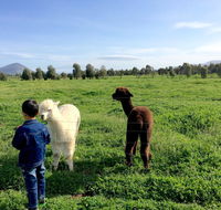 Taras Richmond Farmstay - Accommodation BNB