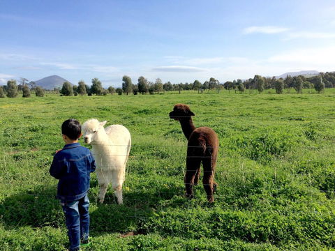 Taras Richmond Farmstay - Accommodation BNB 0