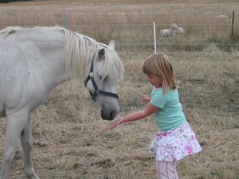 Taras Richmond Farmstay - Accommodation BNB 19
