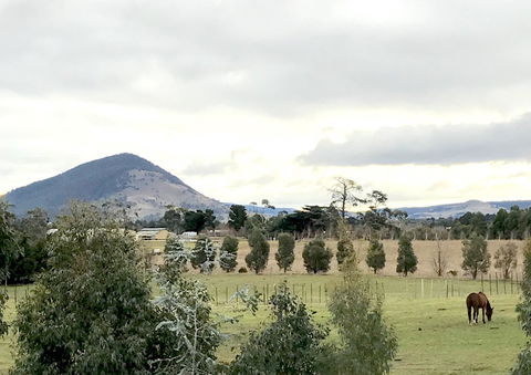 Taras Richmond Farmstay - Accommodation BNB 1