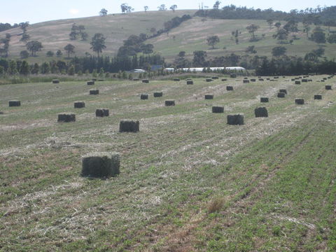 Taras Richmond Farmstay - Accommodation BNB 18
