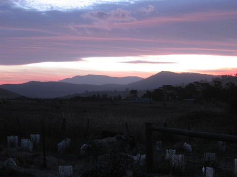 Taras Richmond Farmstay - Accommodation BNB 22