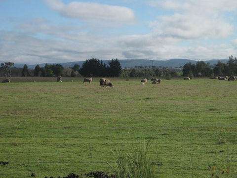 Taras Richmond Farmstay - Accommodation BNB 13