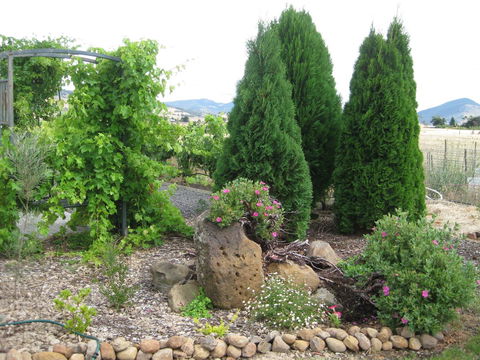 Taras Richmond Farmstay - Accommodation BNB 23