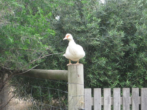 Taras Richmond Farmstay - Accommodation BNB 16