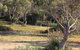 BAY OF FIRES SEACHANGE Ocean Frontage - thumb 12