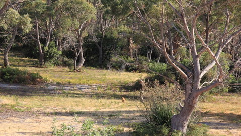 BAY OF FIRES SEACHANGE Ocean Frontage - Accommodation BNB 12