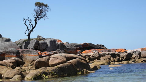 BAY OF FIRES SEACHANGE Ocean Frontage - Accommodation BNB 21