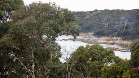 BAY OF FIRES SEACHANGE Ocean Frontage - Accommodation BNB 15