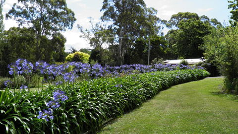 Tamar River Retreat - Accommodation BNB 11