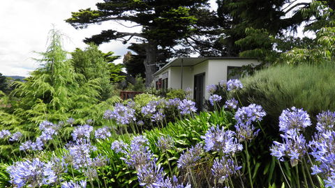 Tamar River Retreat - Accommodation BNB 28