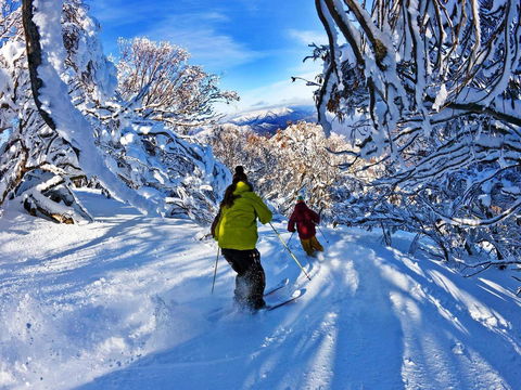 Buller Central Hotel - Accommodation BNB 13