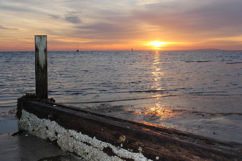 Boathouse Resort Studios And Suites - Accommodation BNB 28