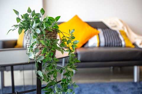 Brand New One/Two - Bed Room Apartment @ Maribyrnong - Accommodation BNB 0