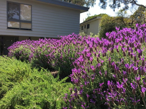 Kookas Retreat - Accommodation BNB 14
