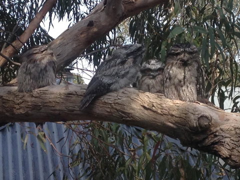 Kookas Retreat - Accommodation BNB 15