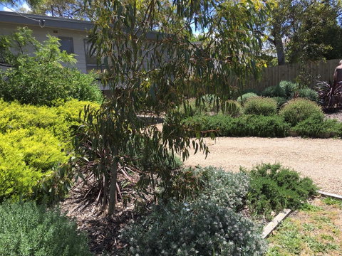 Kookas Retreat - Accommodation BNB 13