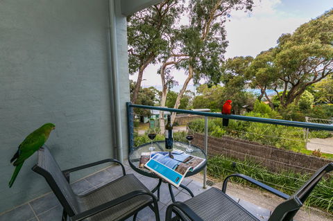 Lorne Surf Apartments - Accommodation BNB 21