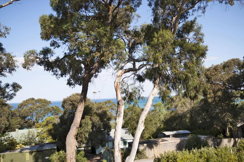 Lorne Surf Apartments - Accommodation BNB 6