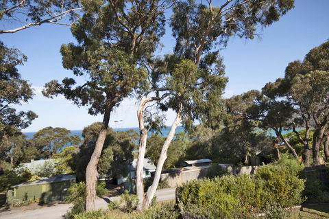 Lorne Surf Apartments - Accommodation BNB 11