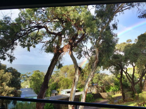 Lorne Surf Apartments - Accommodation BNB 4