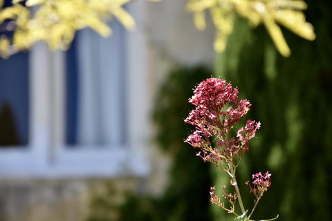 Villa Mallorca - Accommodation BNB 28