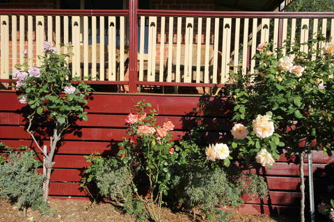 Oxford Rise Apartment - Accommodation BNB 21