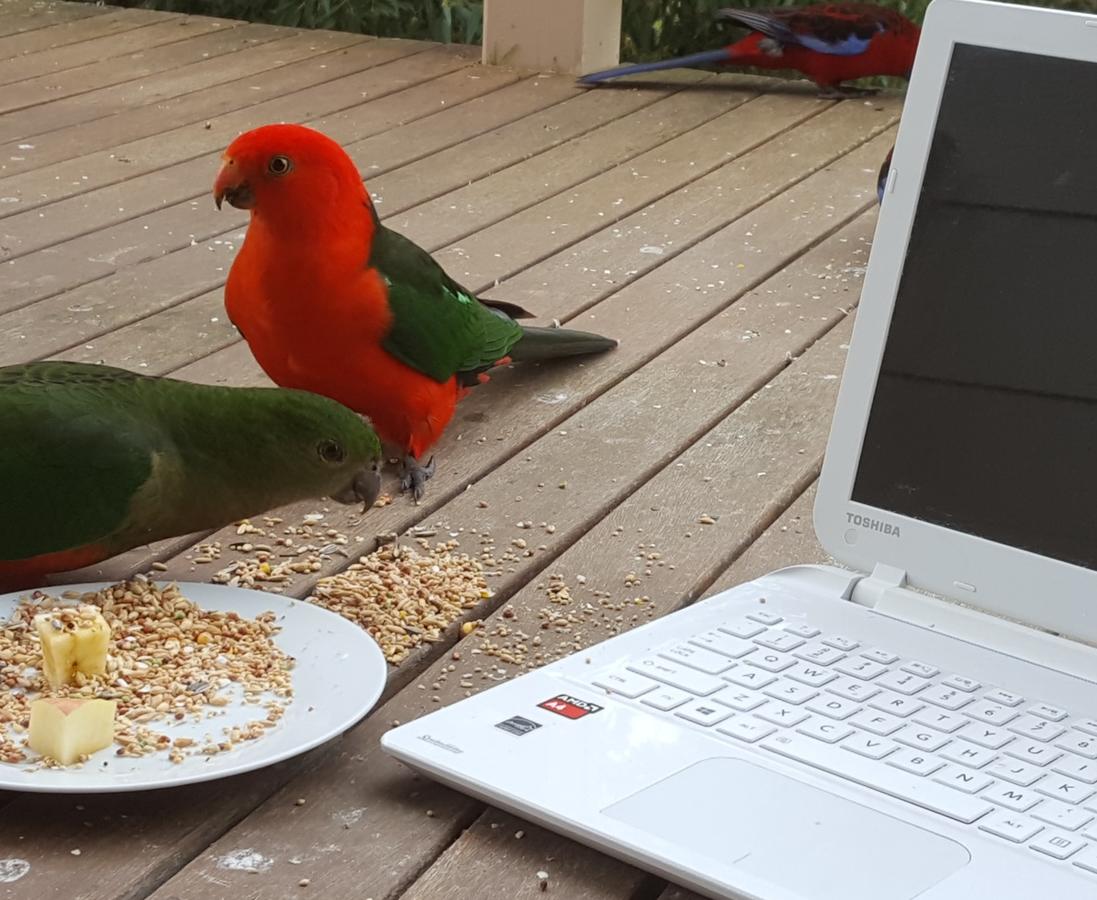 Foster VIC Accommodation BNB