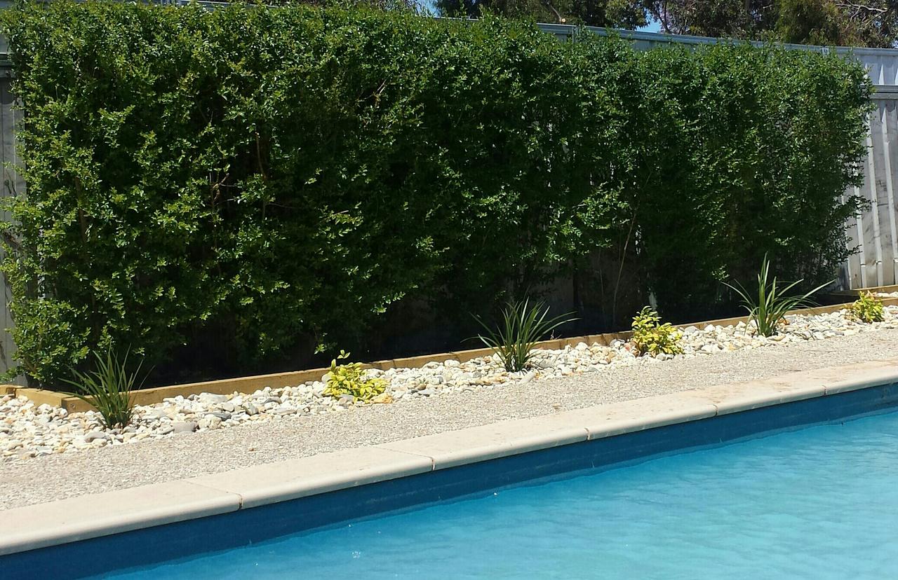 Robinvale VIC Accommodation BNB