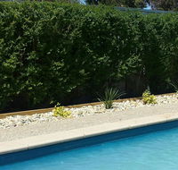 Robinvale Bridge Motel - Accommodation BNB