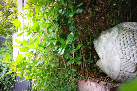 Capella Villa No. 4 - Stunning Luxury Decor Inside And Out - Accommodation BNB 15