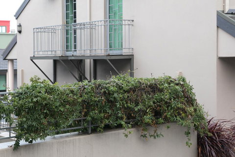 Quality Inn & Suites The Menzies - Accommodation BNB 23