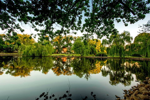 BIG4 Castlemaine Gardens - Accommodation BNB 19