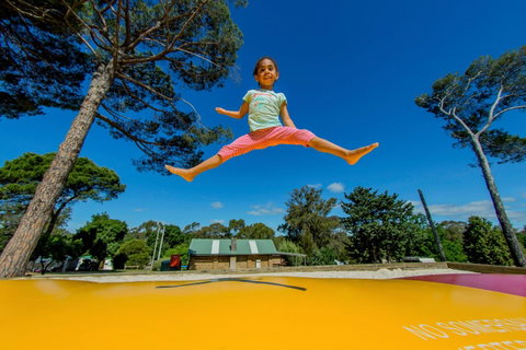 BIG4 Castlemaine Gardens - Accommodation BNB 21