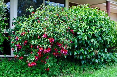 Crimea Retreat - Accommodation BNB 18