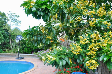 Crimea Retreat - Accommodation BNB 20