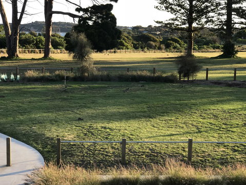 Bunya By The Sea - Accommodation BNB 3