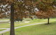 Yarra Valley Lodge - thumb 2