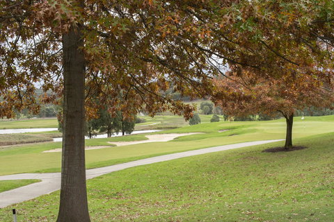 Yarra Valley Lodge - Accommodation BNB 2