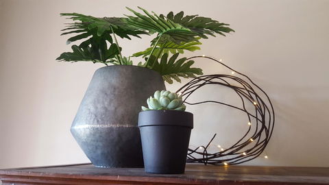 Boutique Heritage Studios On Ryrie Geelong CBD Opposite Hospital - Accommodation BNB 15