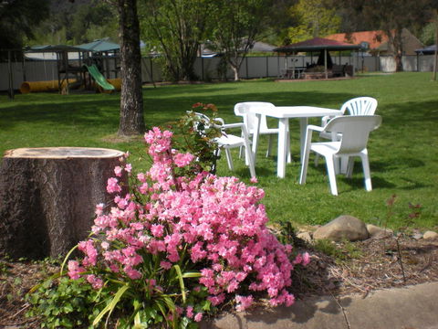 Willow Dene Holiday Apartments - Accommodation BNB 24