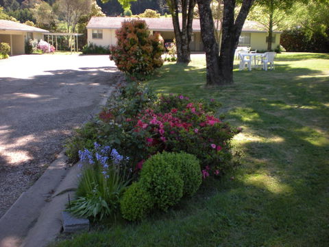 Willow Dene Holiday Apartments - Accommodation BNB 22