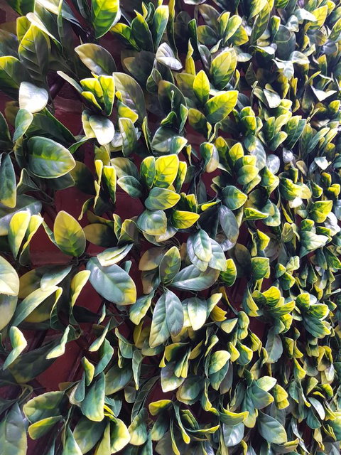 Myers CBD - Accommodation BNB 10