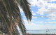 Beach Front Beauty - thumb 23